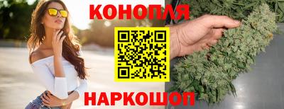 mdpv Кудрово