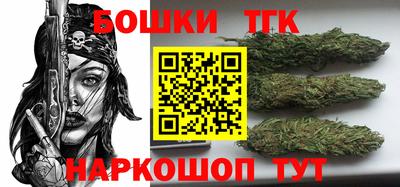 МДПВ Бийск