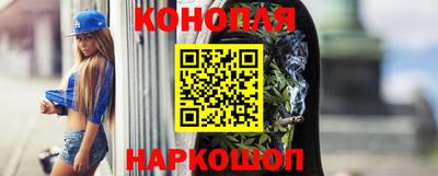 МДПВ Бийск