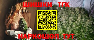 гидра Вязьма