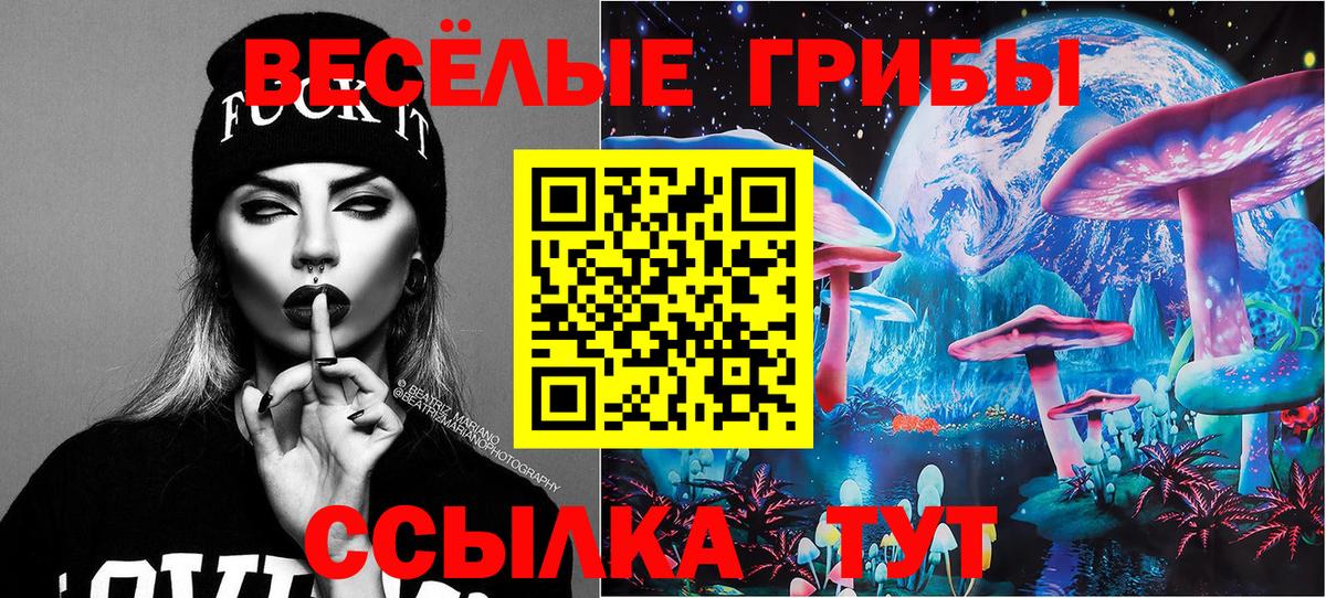 Галлюциногенные грибы Psilocybine cubensis  Псилоцибиновые грибы MAGIC MUSHROOMS  Кашира  Вход с VPN 