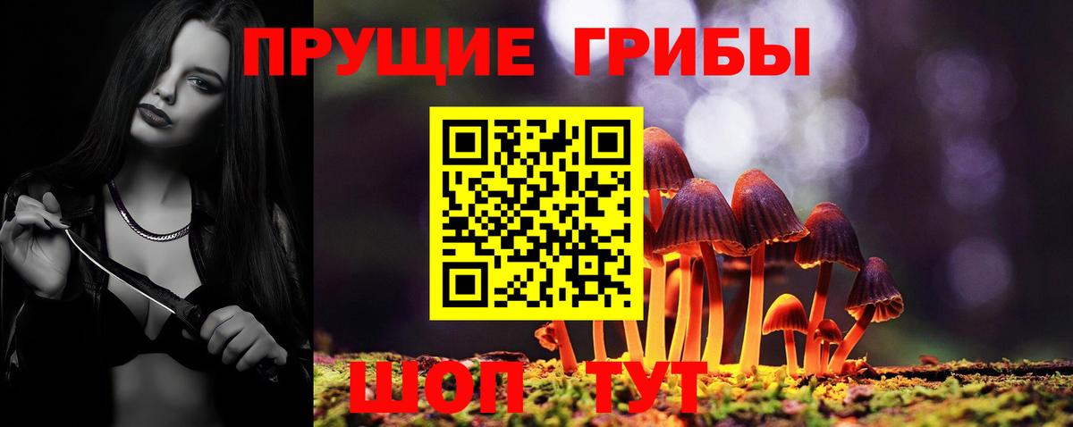 Меф Кашира